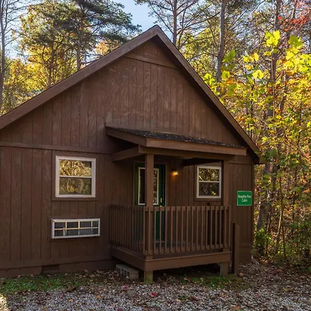 Blue Rose Cabins - Naughty Pine Cabin Logan Exterior photo